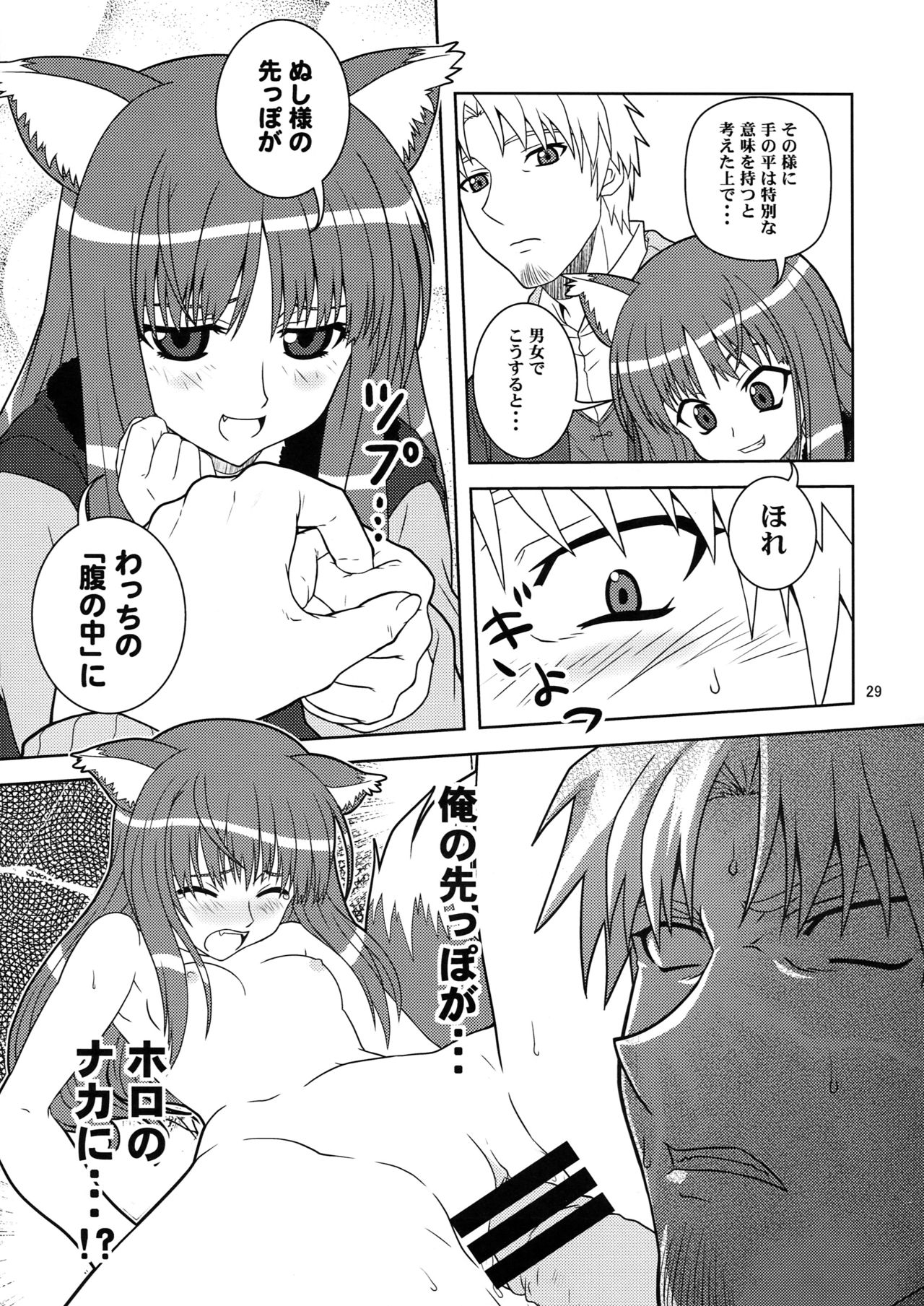 (SC39) [Circle Credit (Benjamin,  Muichimon, NAL, Akikan)] Ookami to Mimi to Shippo (Spice and Wolf) 26