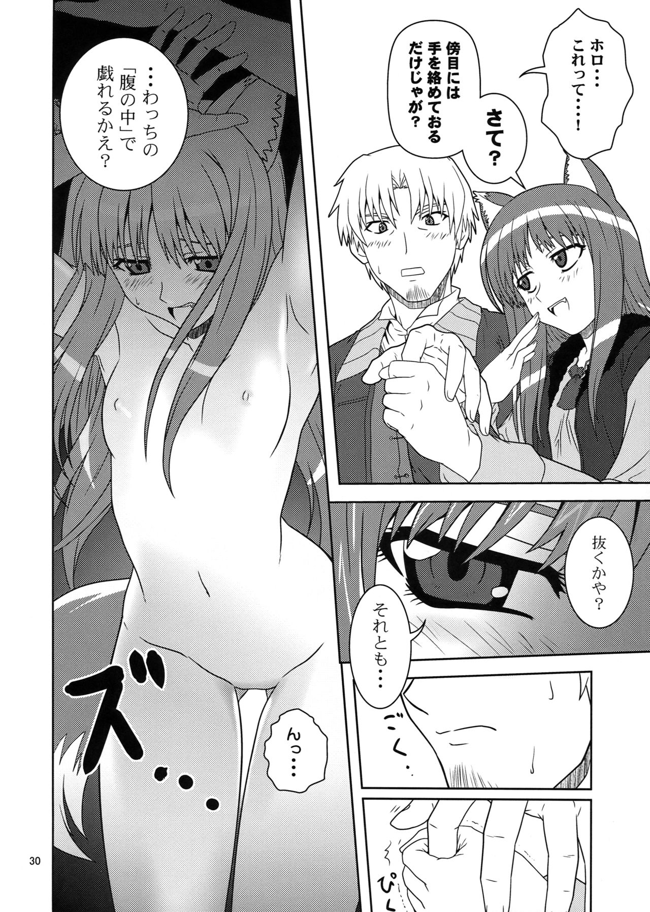 (SC39) [Circle Credit (Benjamin,  Muichimon, NAL, Akikan)] Ookami to Mimi to Shippo (Spice and Wolf) 27