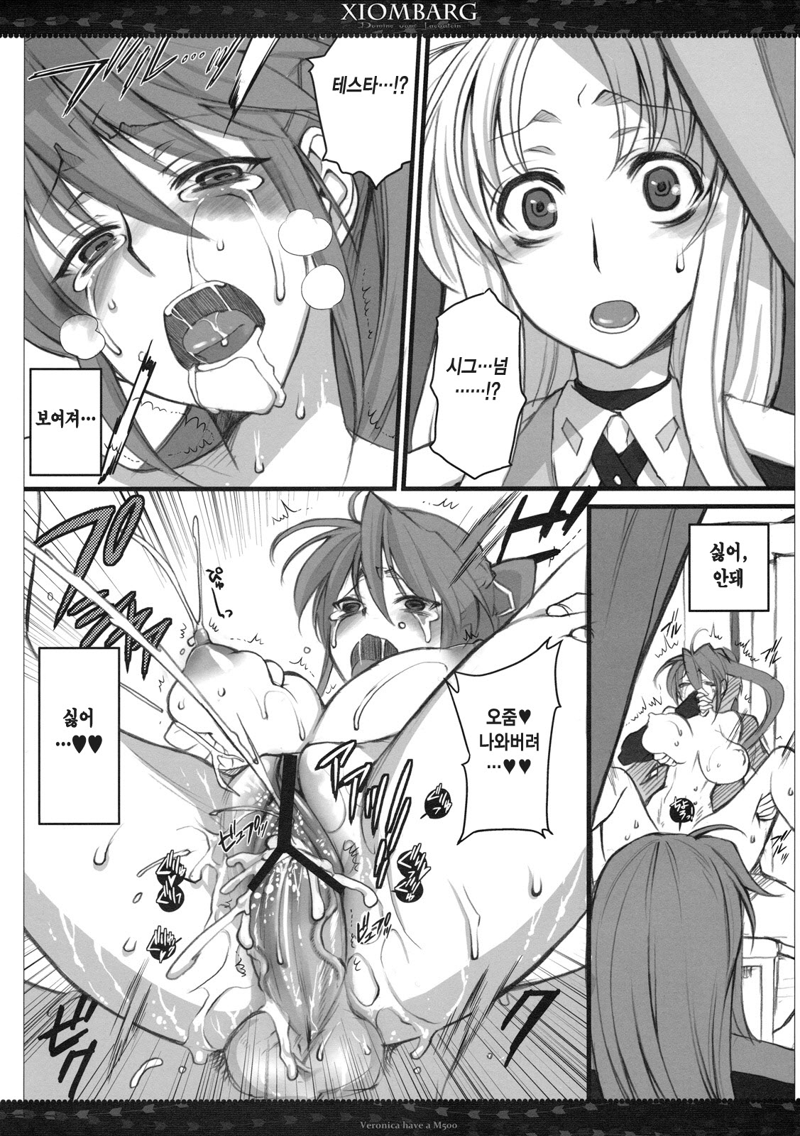 (SC50) [VM500 (Kome)] Xiombarg (Mahou Shoujo Lyrical Nanoha StrikerS) [Korean] [Team H] 21