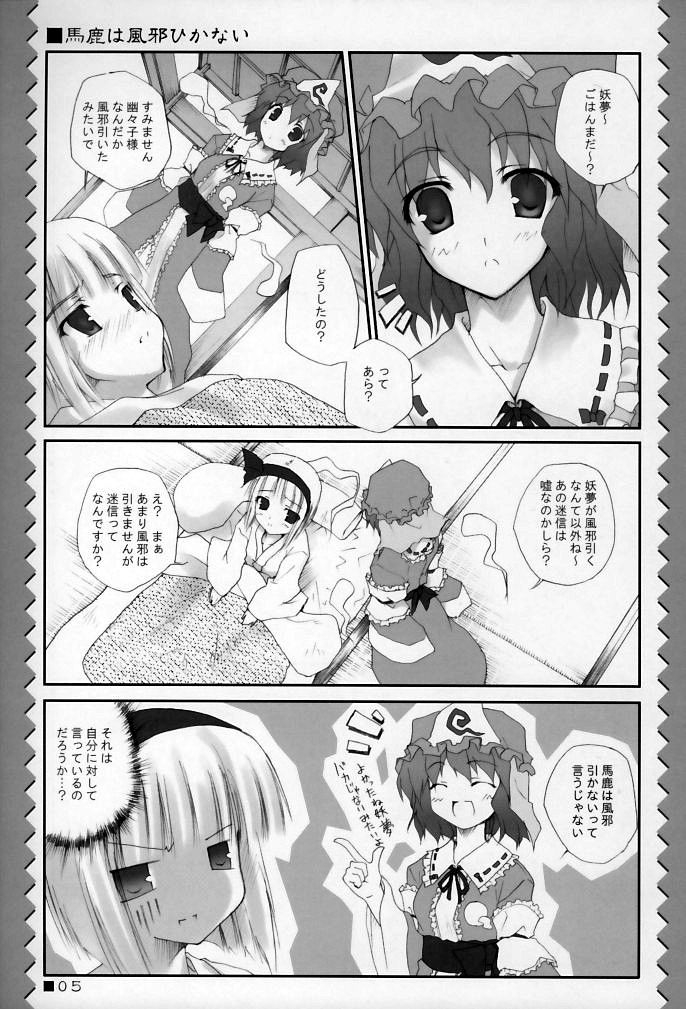 (C69) [Minatekishugi (Minase)] Meikyou Shisui (Touhou Project) 3