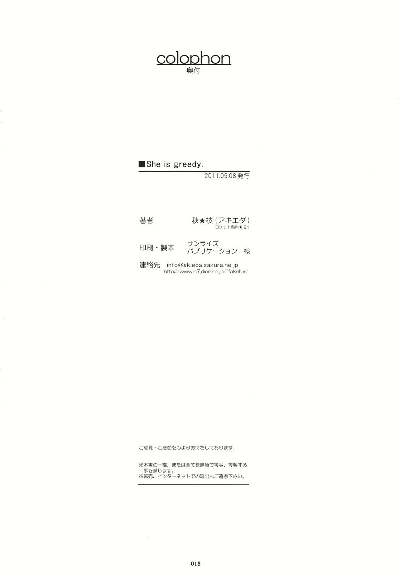 (Reitaisai 8) [Rocket Nenryou 21 (Aki Eda)] She is greedy. (Touhou Project) [Chinese] 17