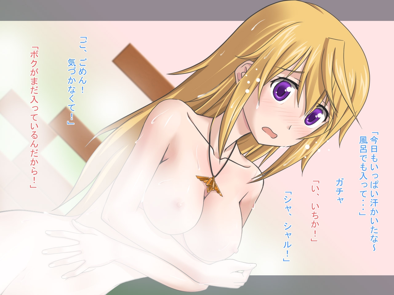 [Plastic Image] Char to Issho (IS <Infinite Stratos>) 0
