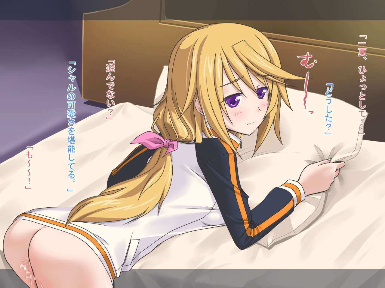 [Plastic Image] Char to Issho (IS <Infinite Stratos>) 9
