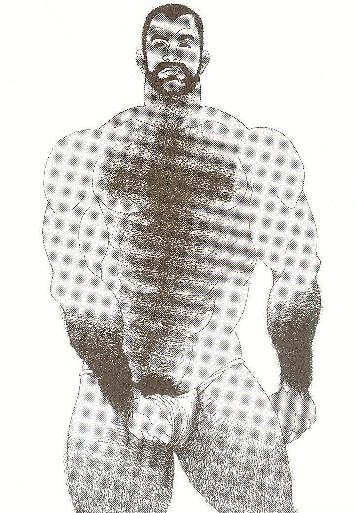 Muscle Gay Arts 264