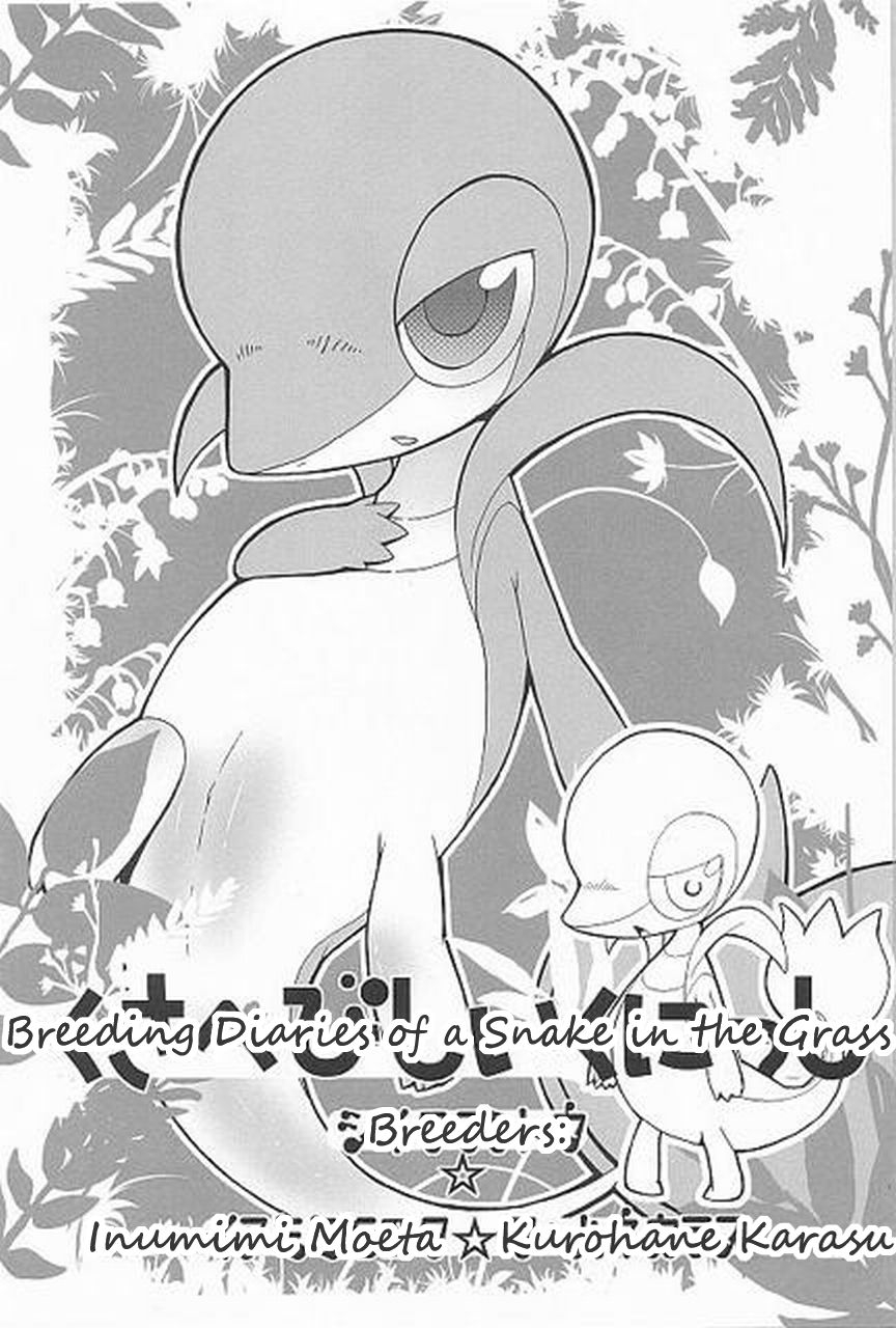(Fur-st) [Dogear (Inumimi Moeta, Kurou Karasu)] Tsutahebishiiku Nisshi | Breeding Diaries of a Snake in the Grass (Pokémon) [English] [Twilight Stormshi] 2