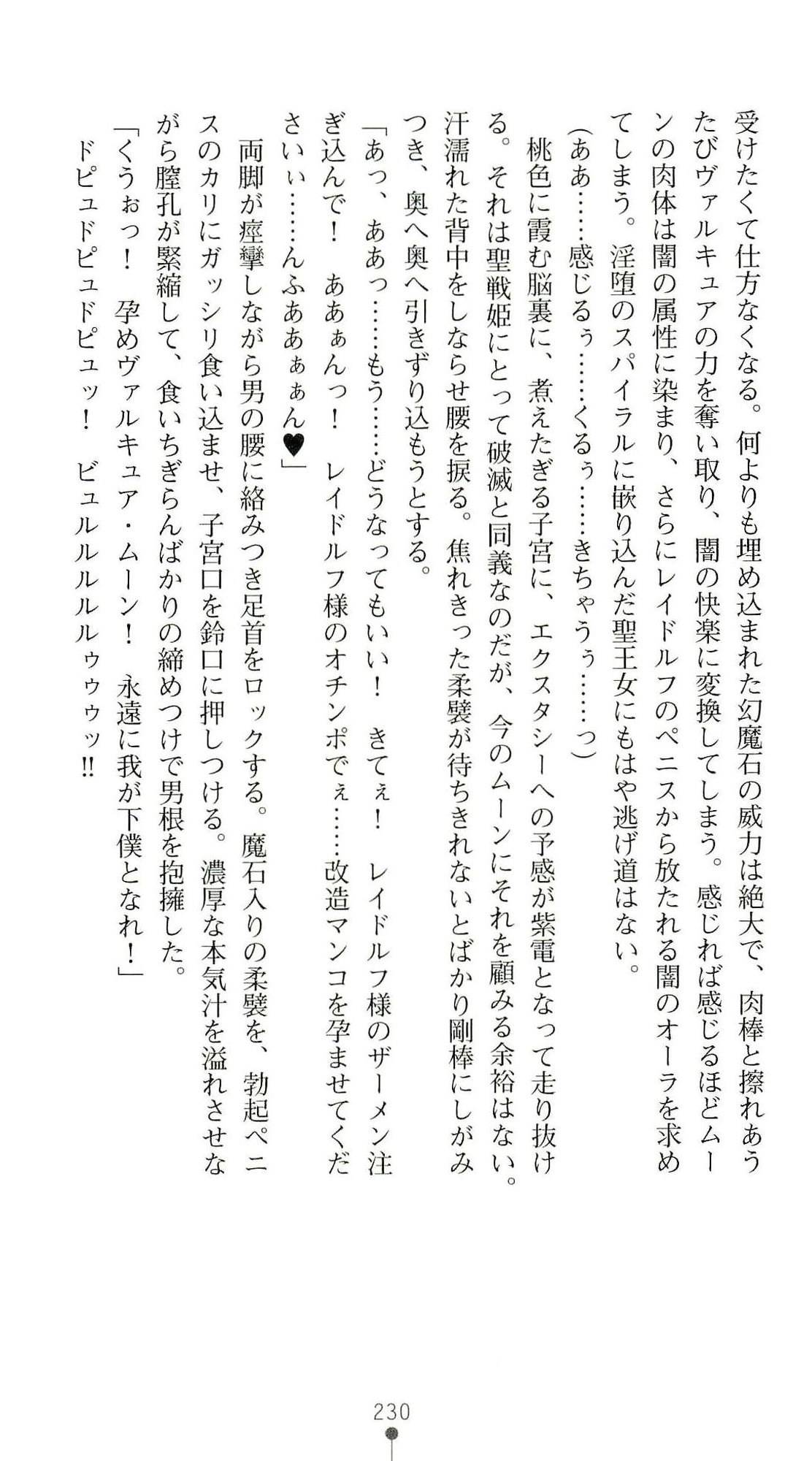 (Kannou Shousetsu) [Chikuma Juukou & Kamei & Shimachiyo] Seisenki Valkyrie Sisters ~Yami ni Ochita Idol~ (2D Dream Novels 324) 233