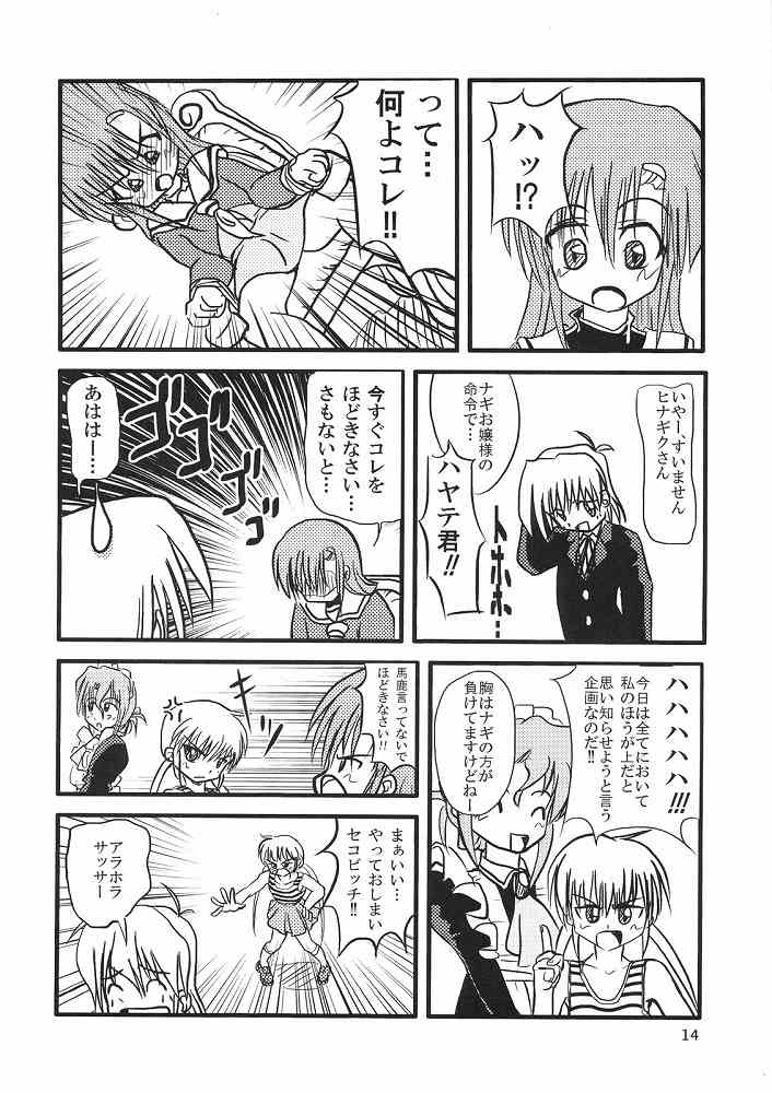 (ComiComi11) [Sukoburumer's (elf.k, Lei, Tonbi)] Hayate ni Yoru Fukuinsho (Hayate no Gotoku!) 12