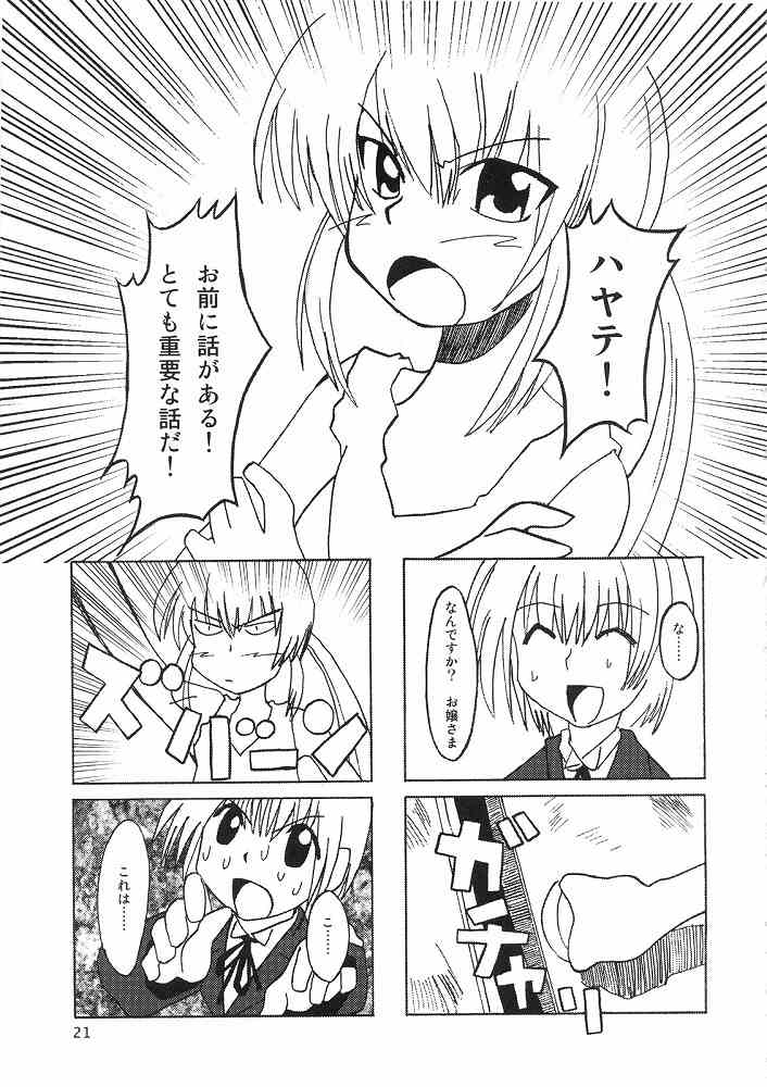 (ComiComi11) [Sukoburumer's (elf.k, Lei, Tonbi)] Hayate ni Yoru Fukuinsho (Hayate no Gotoku!) 19
