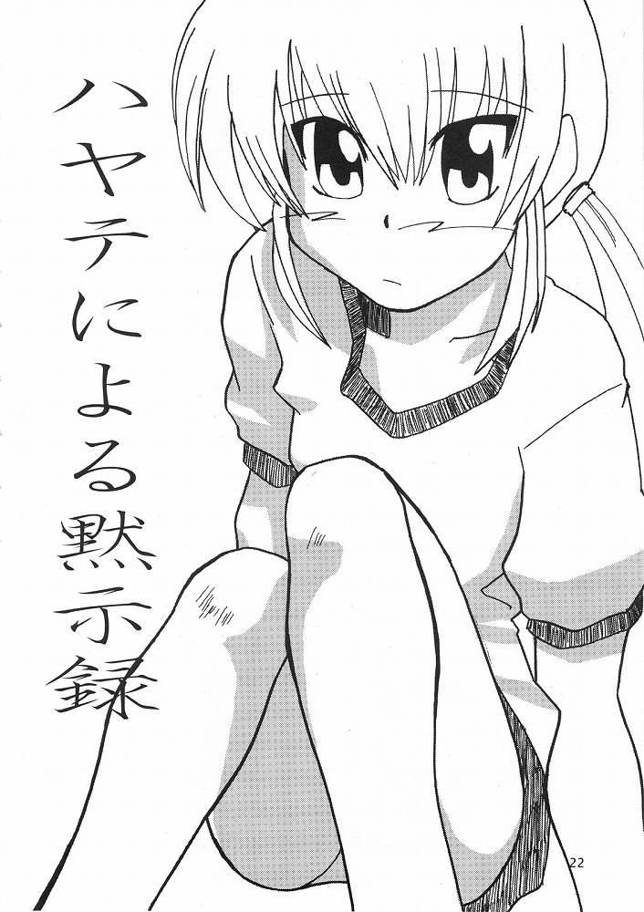 (ComiComi11) [Sukoburumer's (elf.k, Lei, Tonbi)] Hayate ni Yoru Fukuinsho (Hayate no Gotoku!) 20