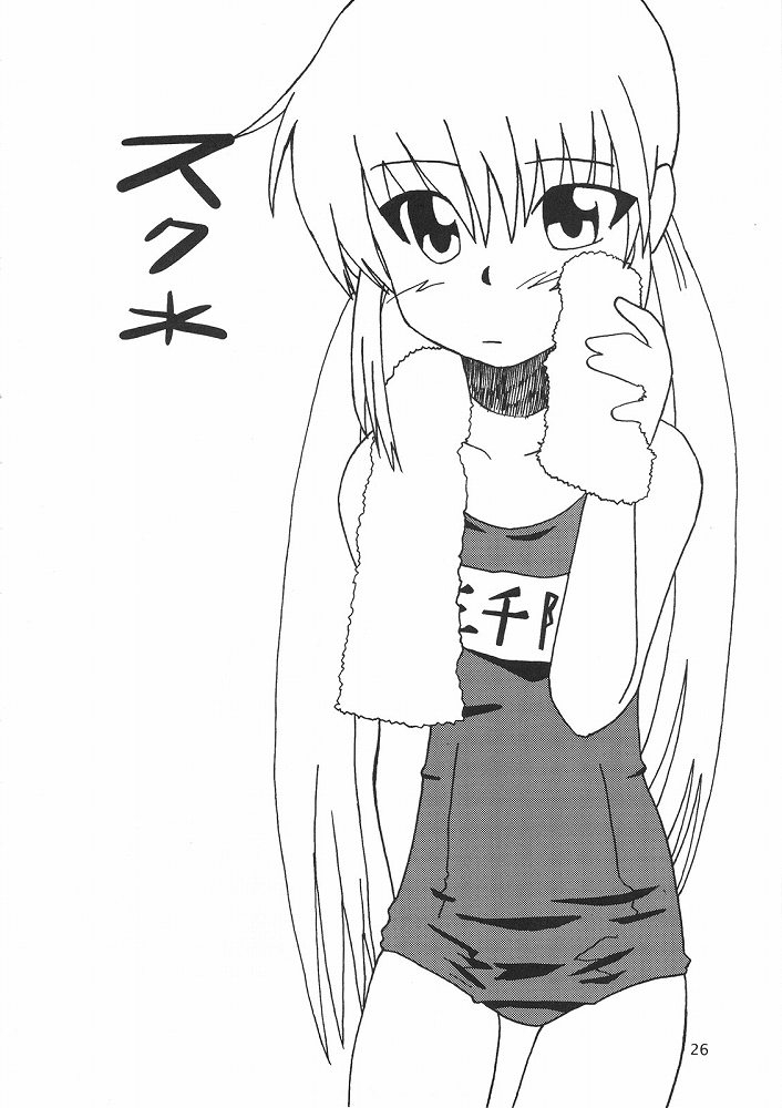 (ComiComi11) [Sukoburumer's (elf.k, Lei, Tonbi)] Hayate ni Yoru Fukuinsho (Hayate no Gotoku!) 24