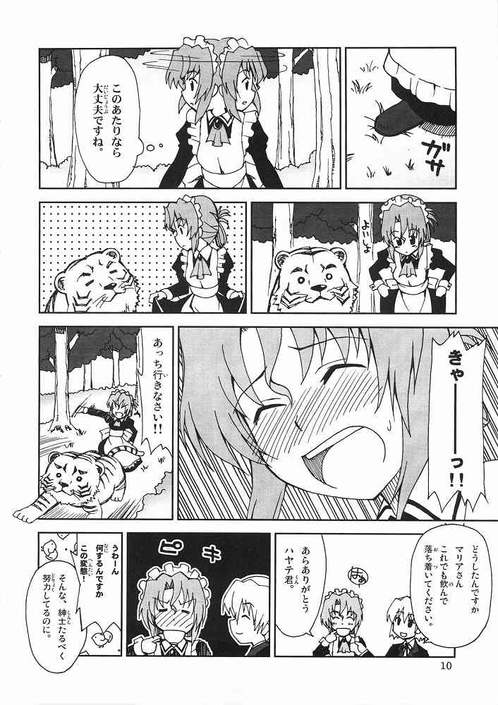 (ComiComi11) [Sukoburumer's (elf.k, Lei, Tonbi)] Hayate ni Yoru Fukuinsho (Hayate no Gotoku!) 8