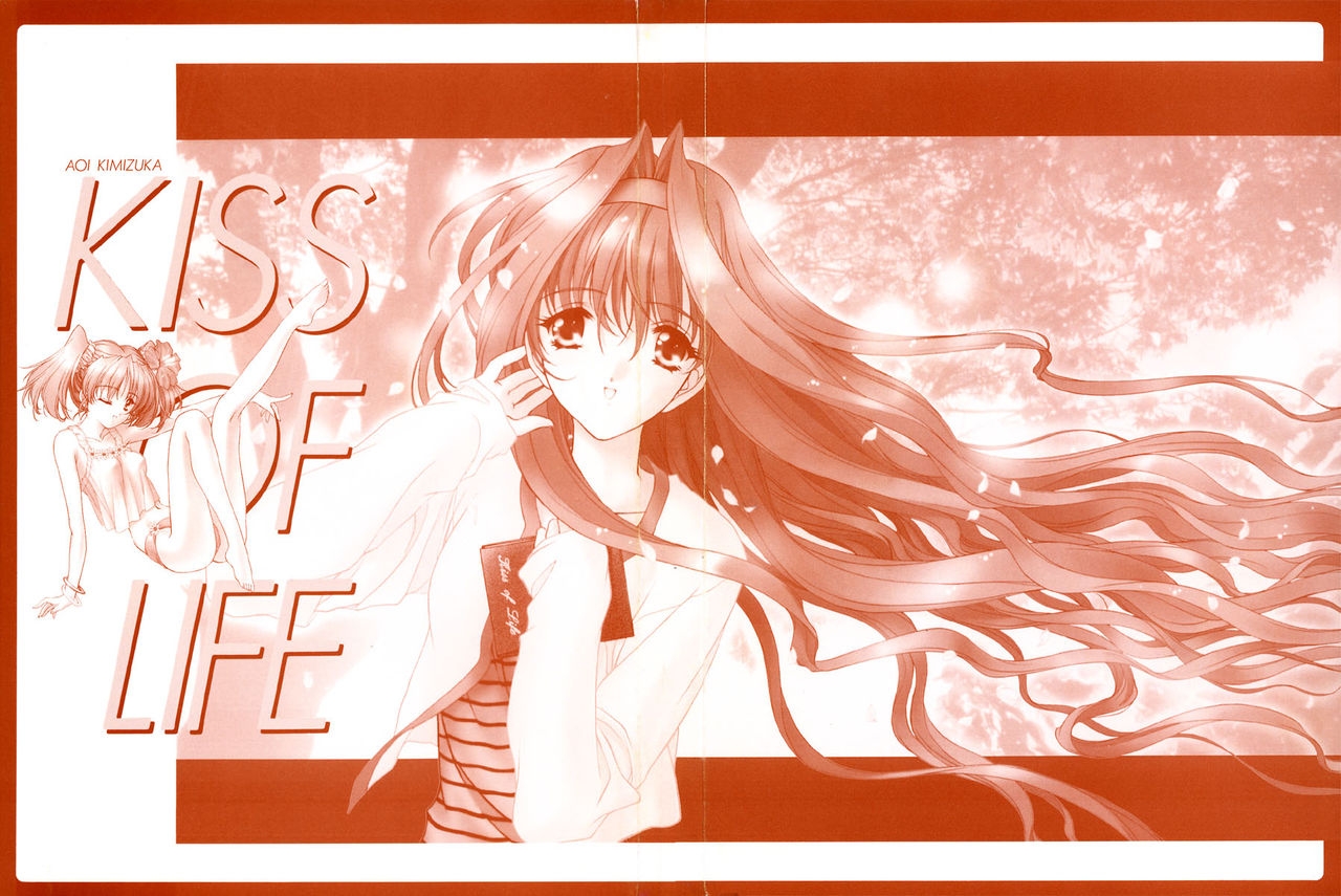 [Kimiduka Aoi] KISS OF LIFE 3