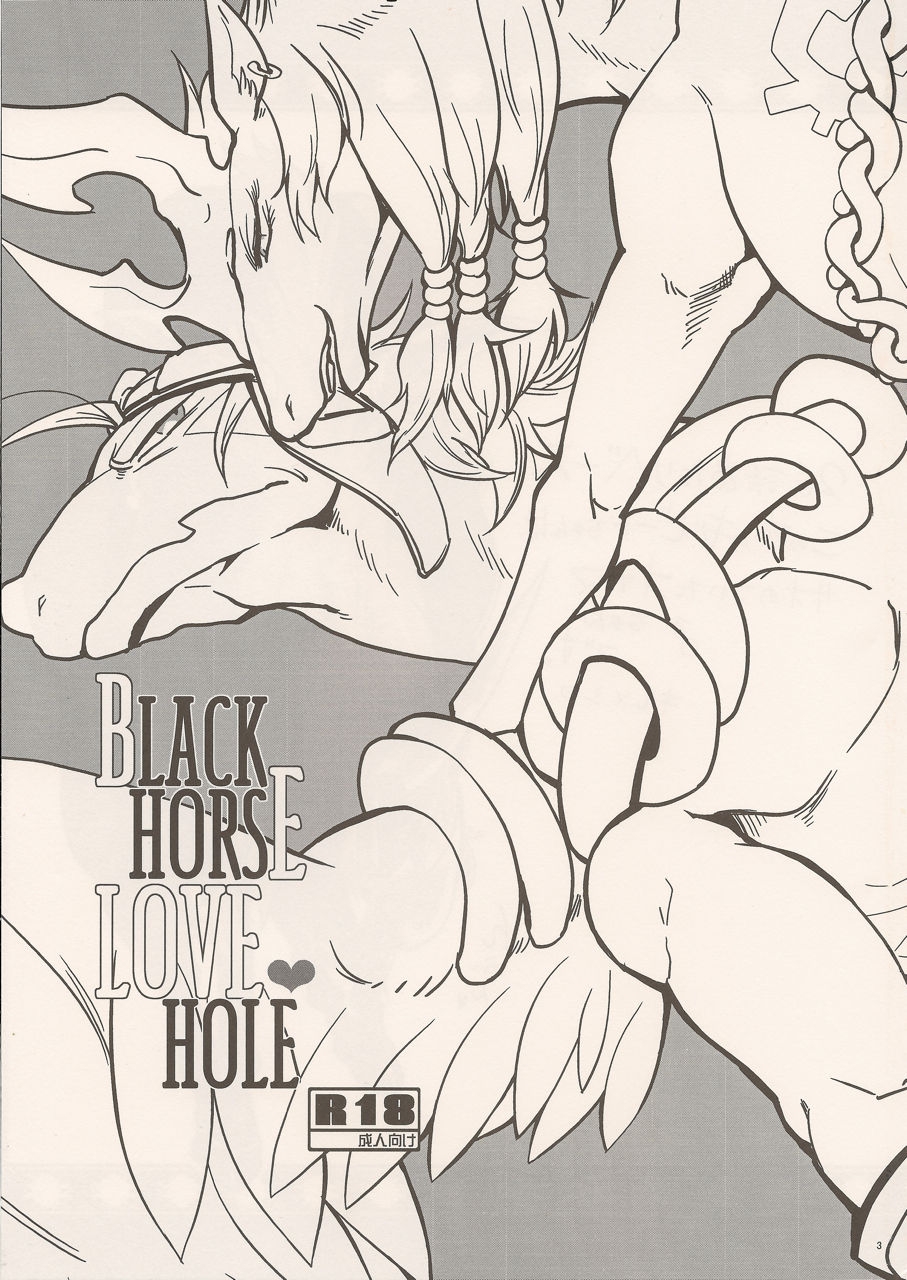 (C80) [Kimidori (Various)] Black Horse Love Hole (Legendz: Tale of the Dragon Kings) 1