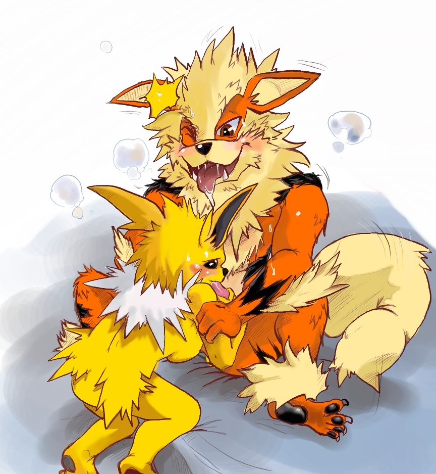 Pokémon Arcanine 18