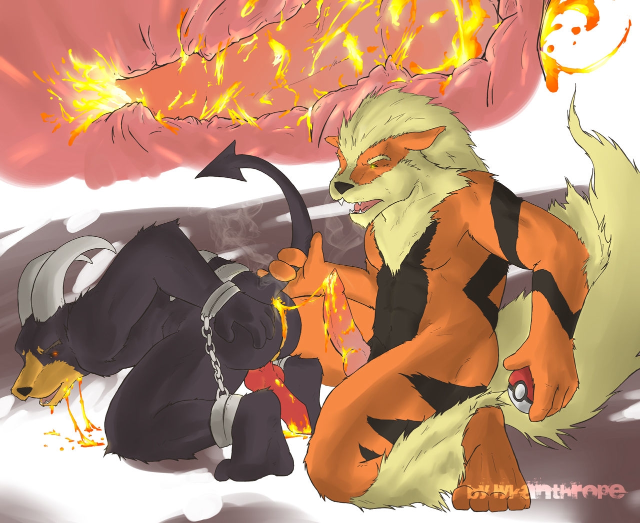 Pokémon Arcanine 19