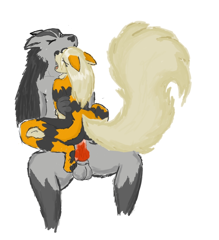 Pokémon Arcanine 26