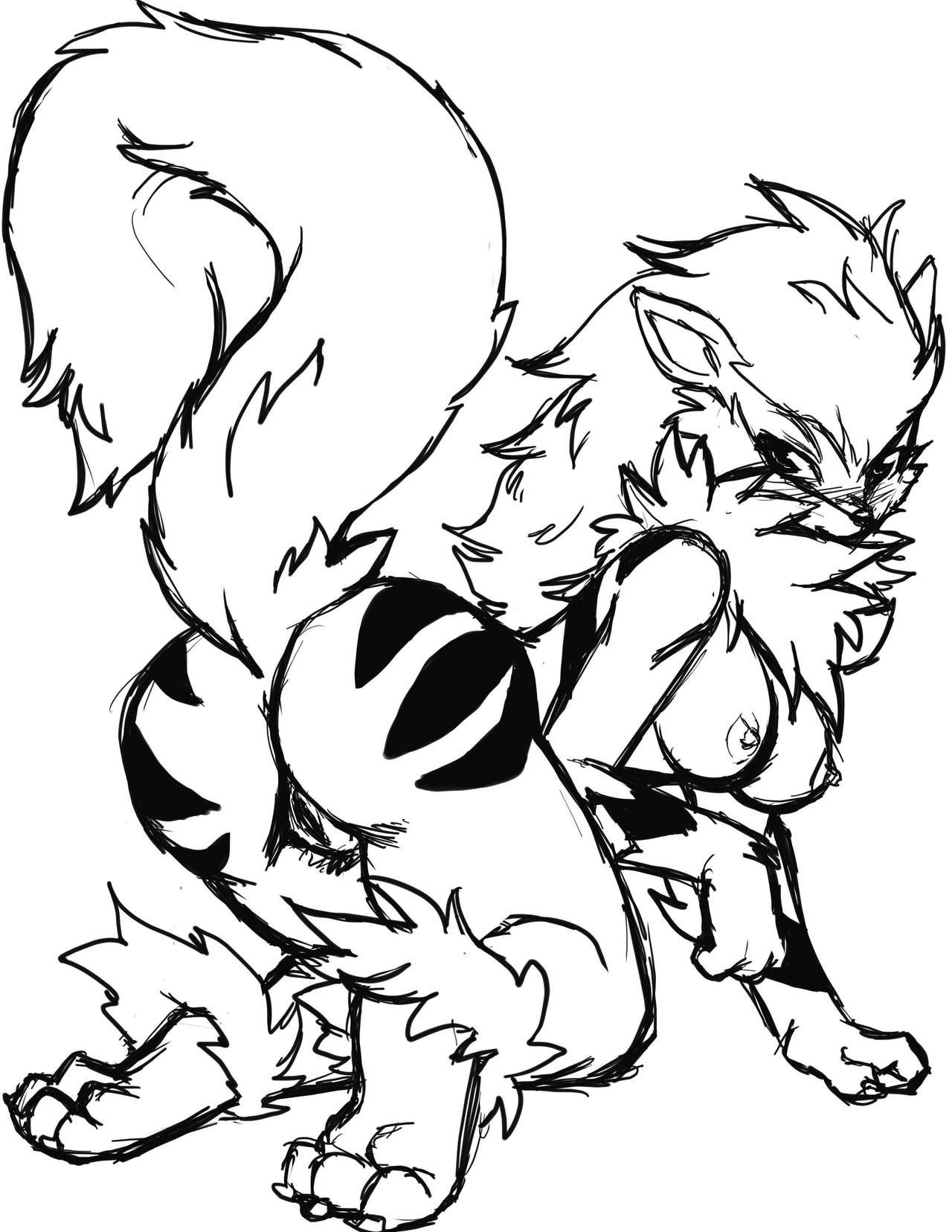 Pokémon Arcanine 27