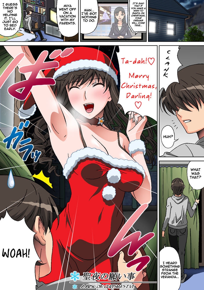 [Selene (Rudoni)] Seiya no Negaigoto | A Wish on Christmas Eve (Amagami) [English] =LWB= 0