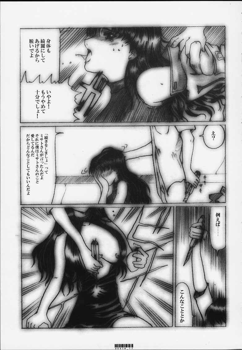 [Neko to Hato (Hatoya Mameshichi)] Désir - Yokubou no Hate - Kaiteiban (Neon Genesis Evangelion) 15