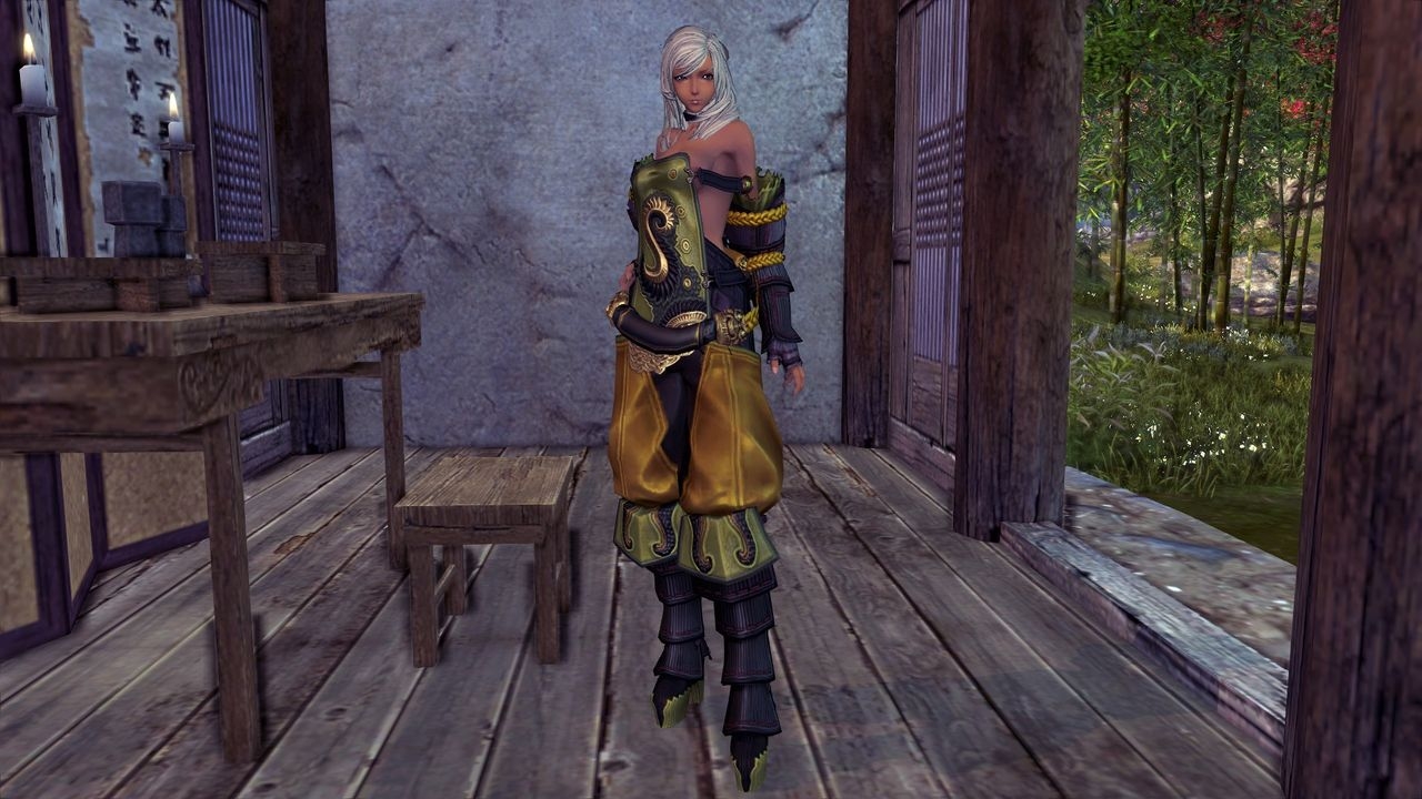 Blade and Soul Female Gon Clothes 104
