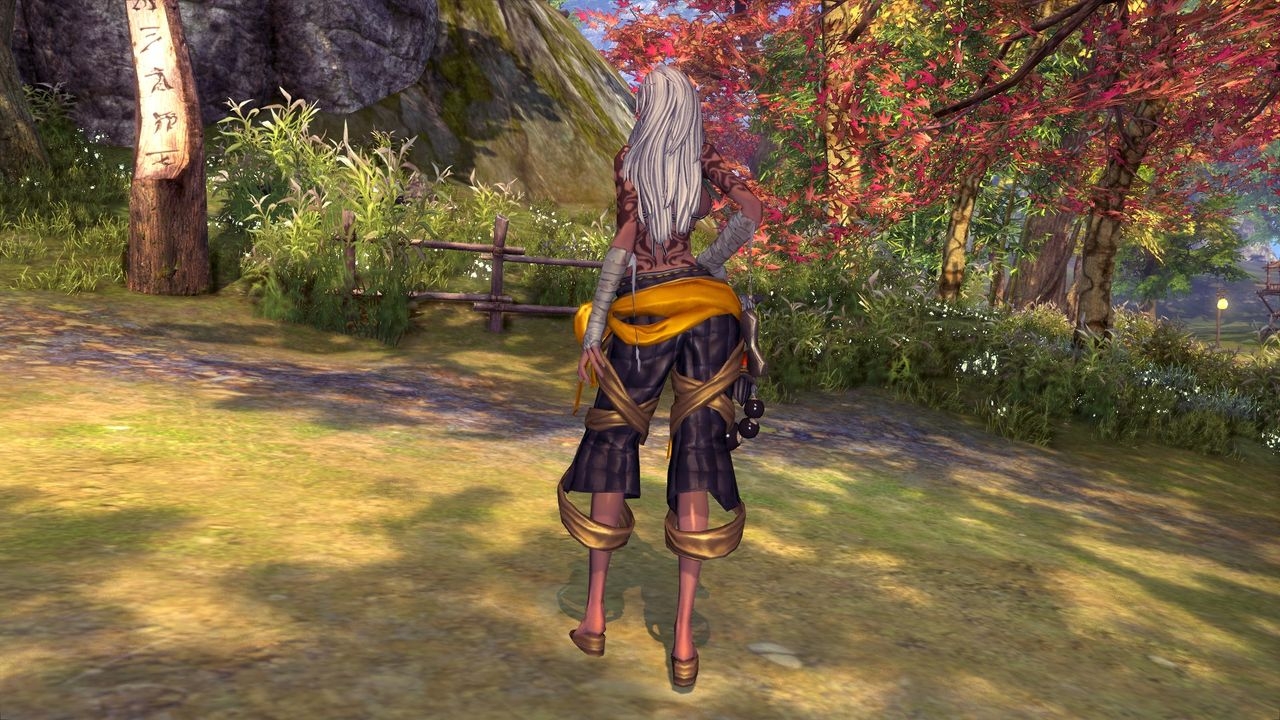 Blade and Soul Female Gon Clothes 19