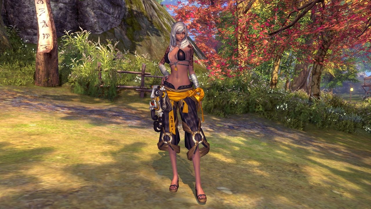 Blade and Soul Female Gon Clothes 20