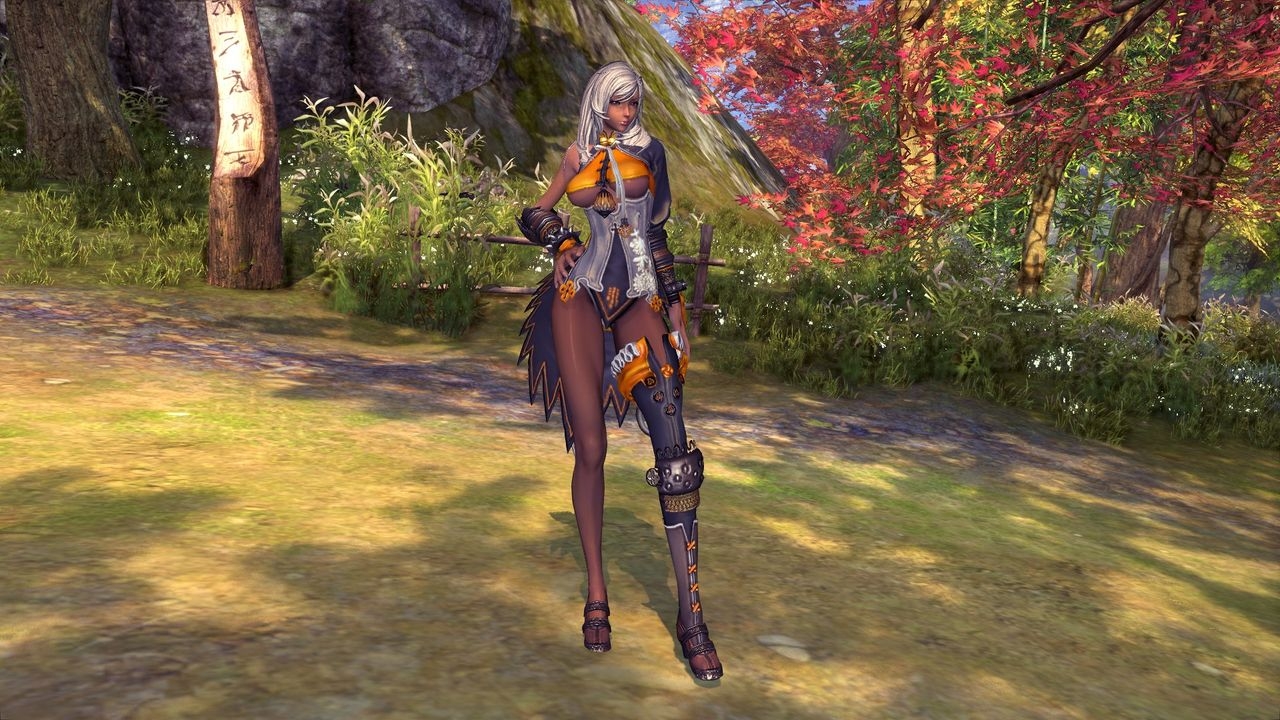 Blade and Soul Female Gon Clothes 23