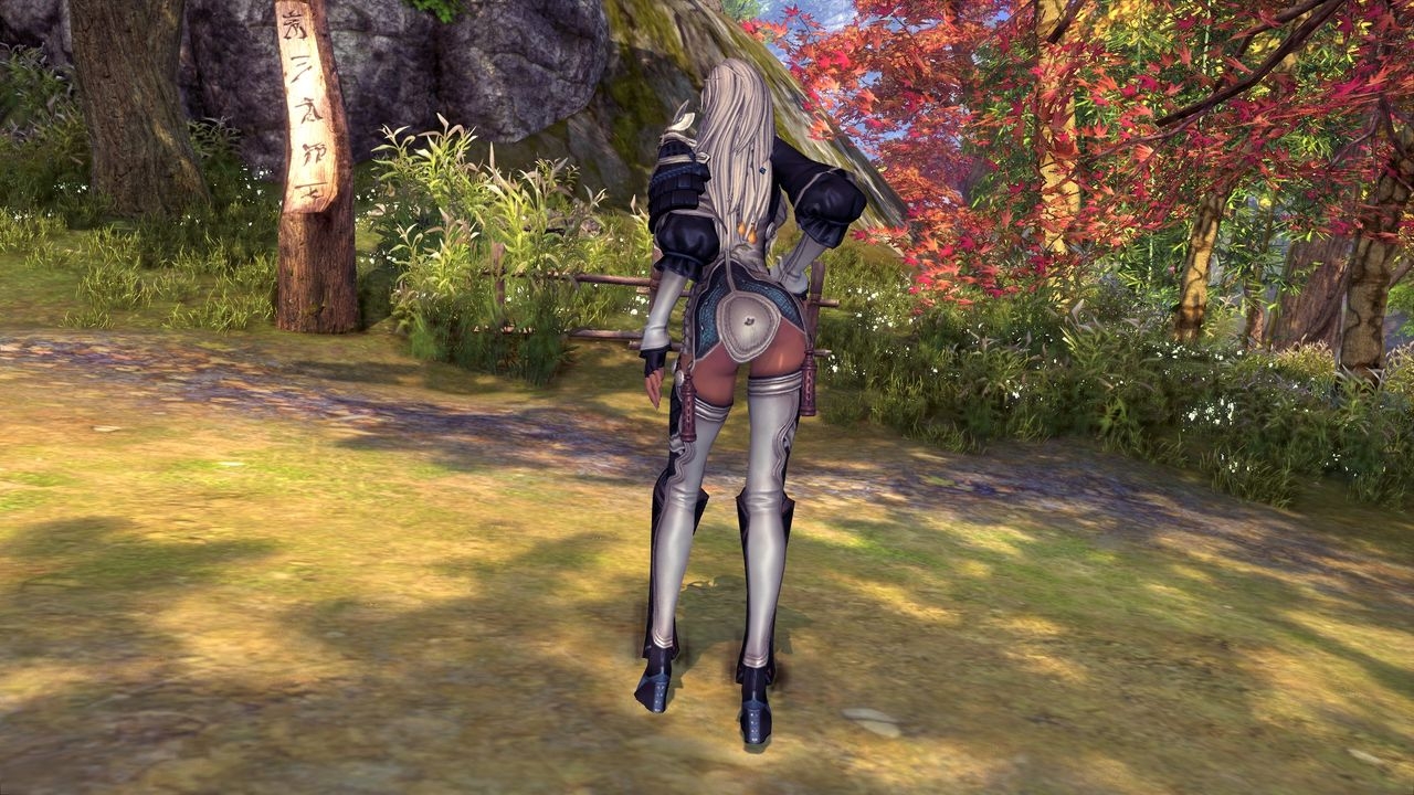 Blade and Soul Female Gon Clothes 25