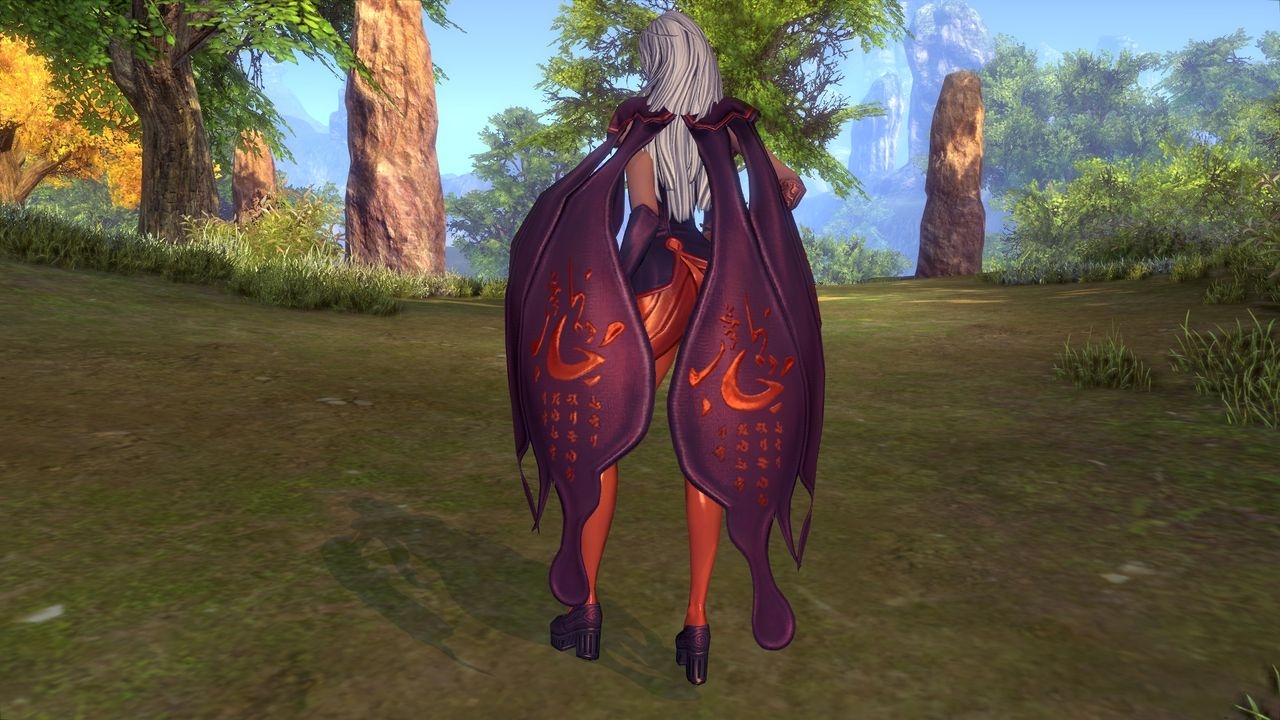 Blade and Soul Female Gon Clothes 70
