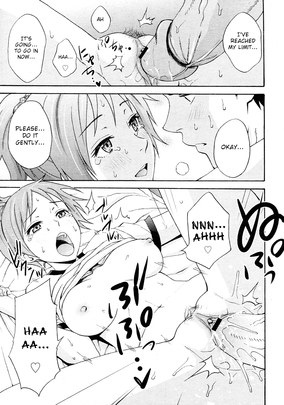 [Coelacanth] JOINT (COMIC Megamilk Vol.14 2011-08) [English] [life4Kaoru] 14