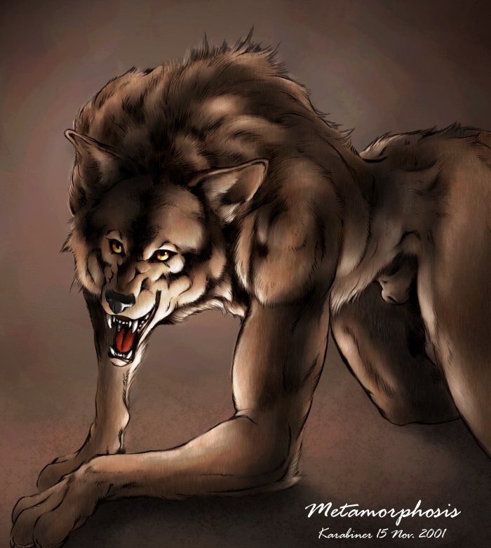 Lycans 6