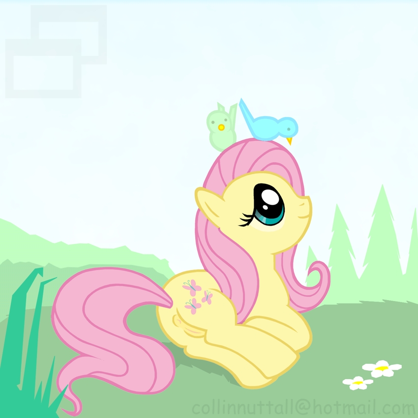 My Little Pony - Fluttershy 15