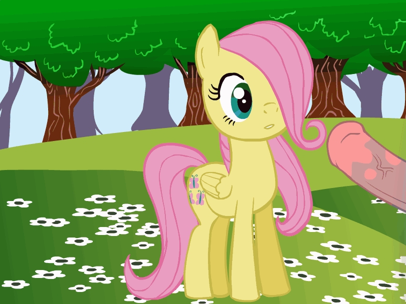 My Little Pony - Fluttershy 21