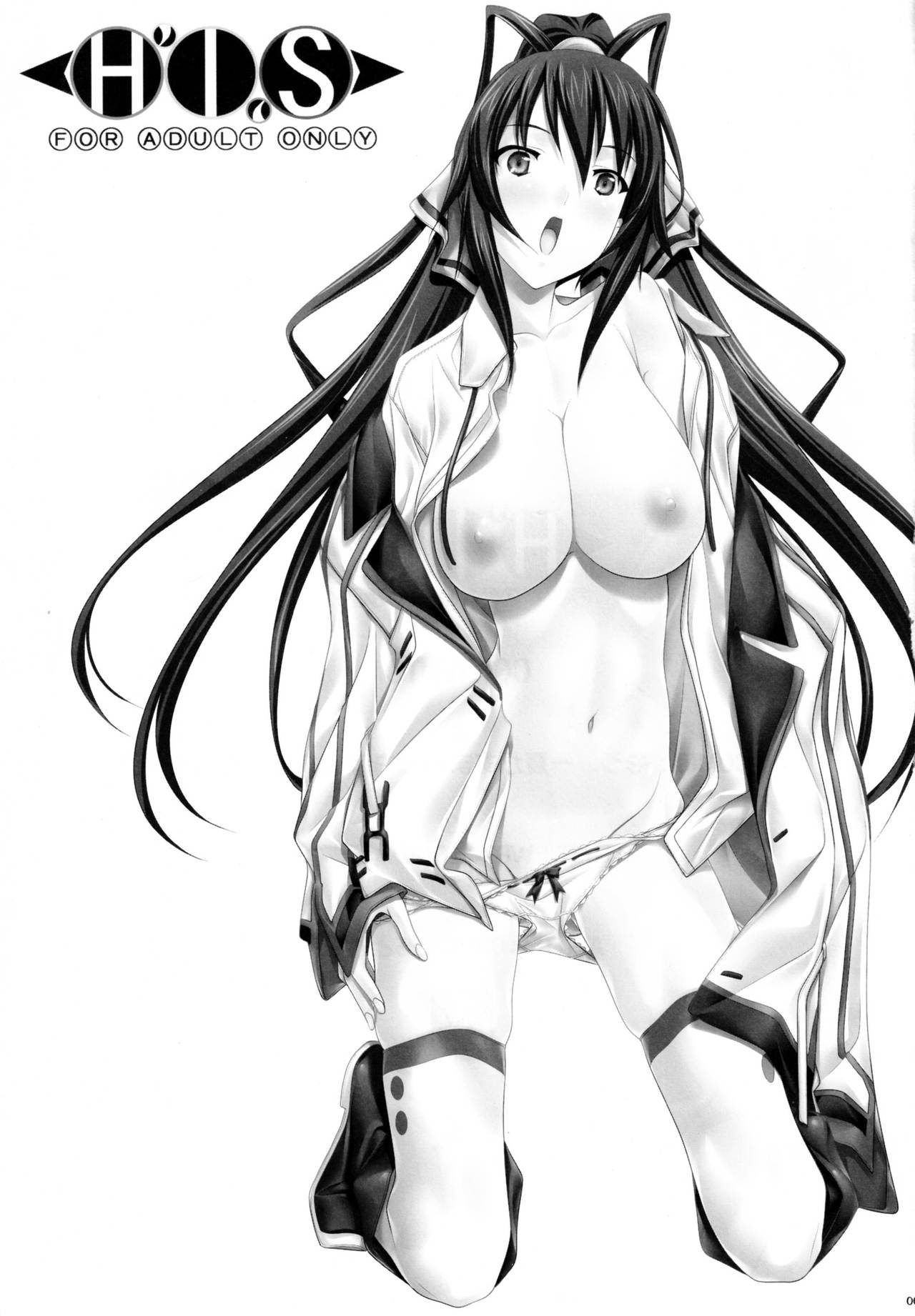 (COMIC1☆5) [IRODORI (SOYOSOYO)] H'I,S (Infinite Stratos) 2