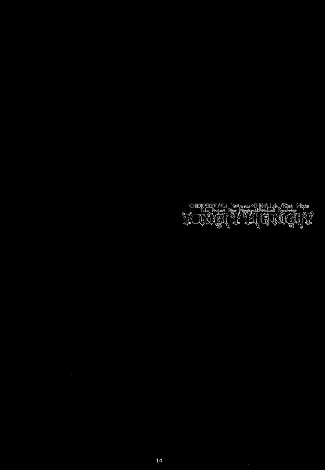 (Reitaisai 9) [D.N.A.Lab., ICHIGOSIZE (Miyasu Risa, Natsume Eri)] Tonight The Night (Touhou Project) [Chinese] [空気系★汉化] 10