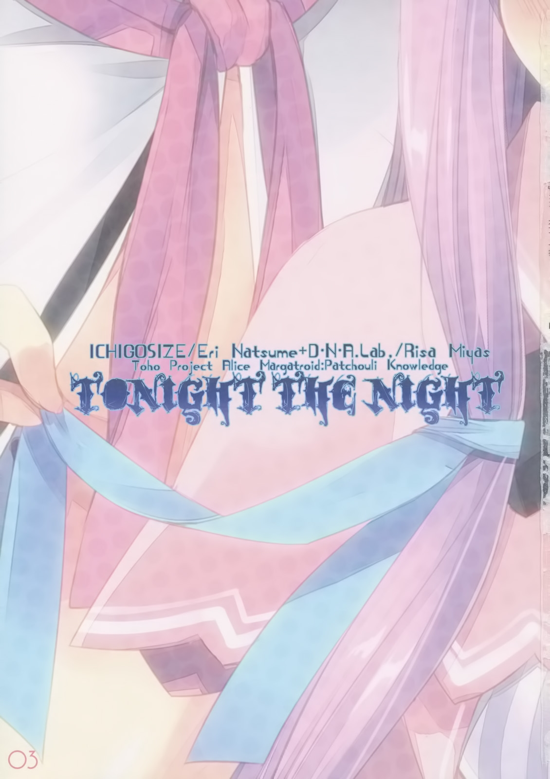(Reitaisai 9) [D.N.A.Lab., ICHIGOSIZE (Miyasu Risa, Natsume Eri)] Tonight The Night (Touhou Project) [Chinese] [空気系★汉化] 2