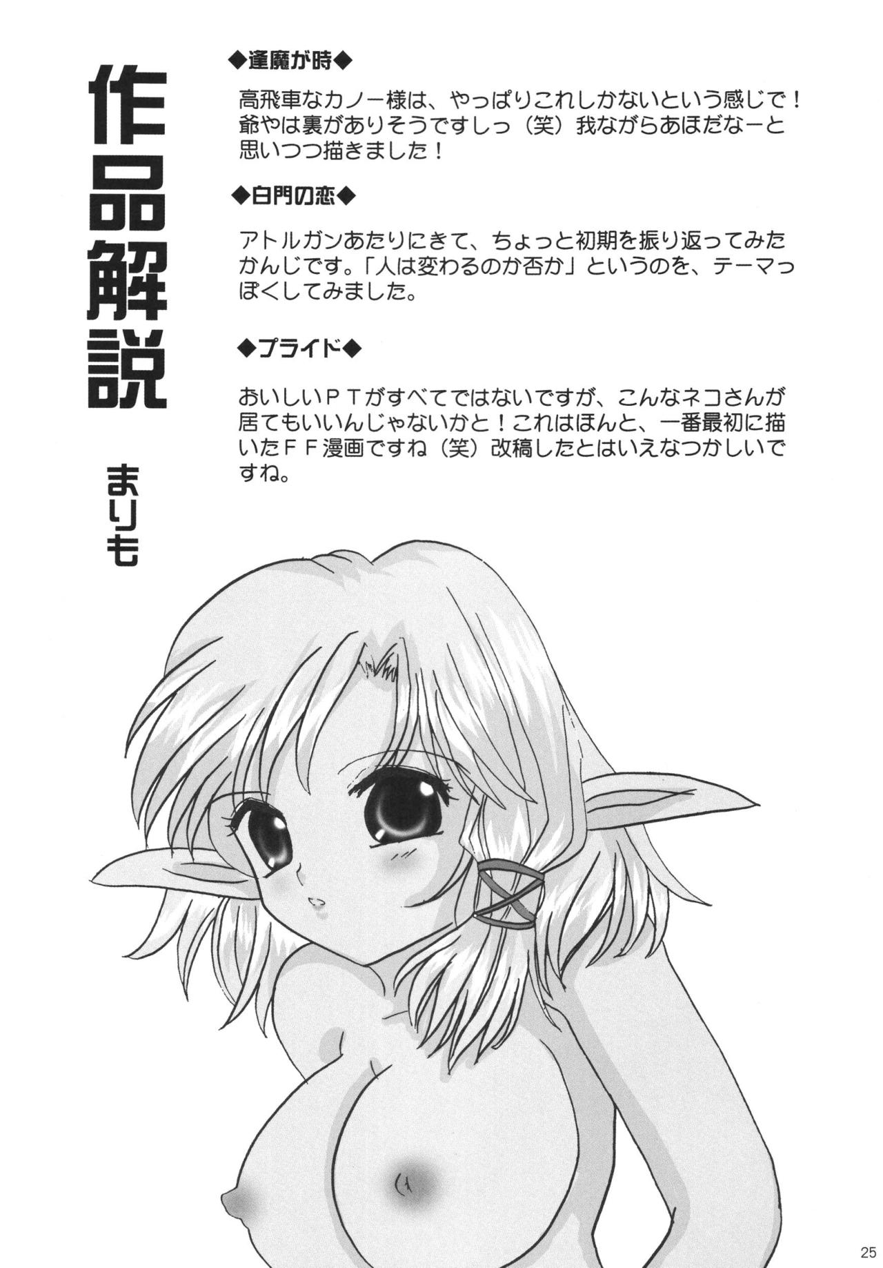 (C72) [Ichigo Milk (Marimo, Tsukune)] Misueru Milk - Mithra and Elvaan Ver. (Final Fantasy XI) 24