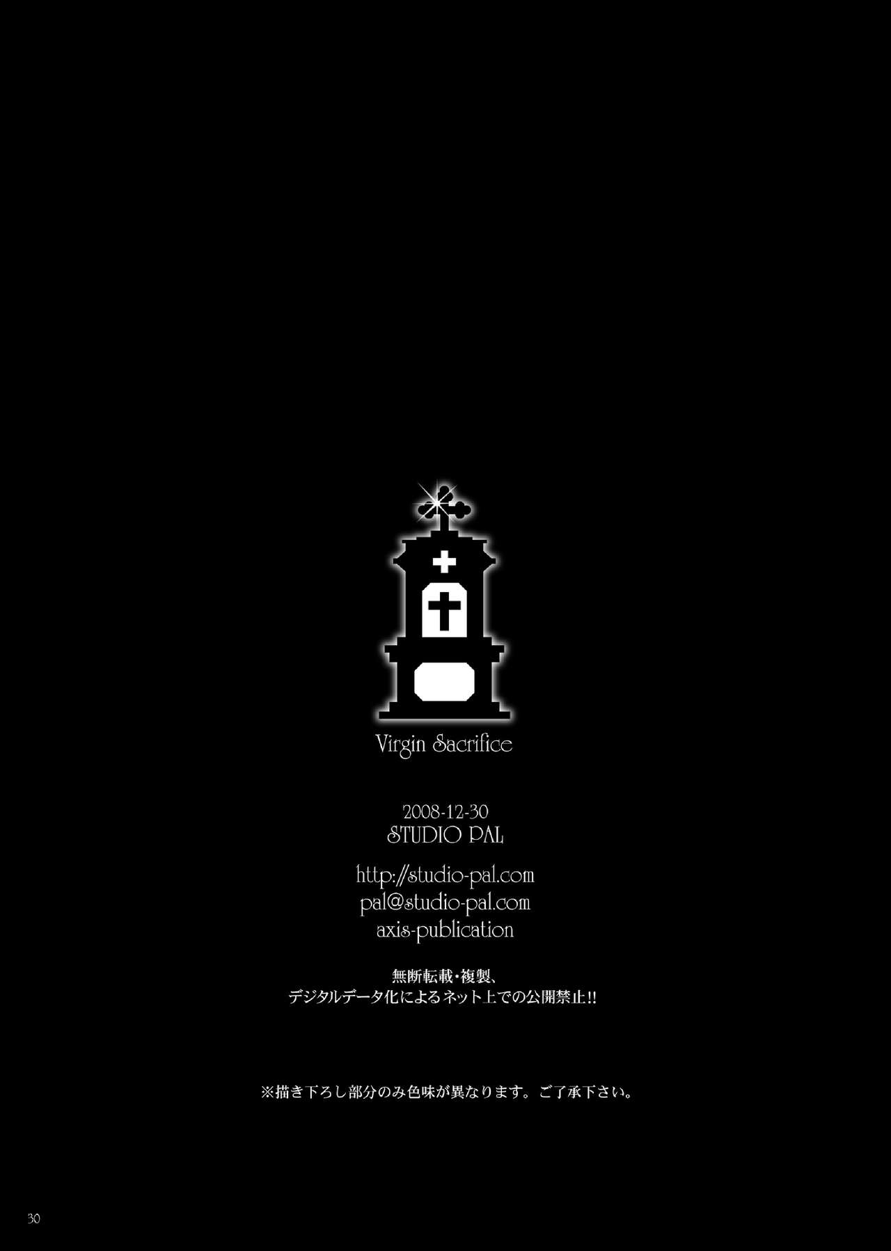 [STUDIO PAL (Nanno Koto)] Shojo no Ikenie - Virgin Sacrifice (Dragon Quest V) [Digital] 29