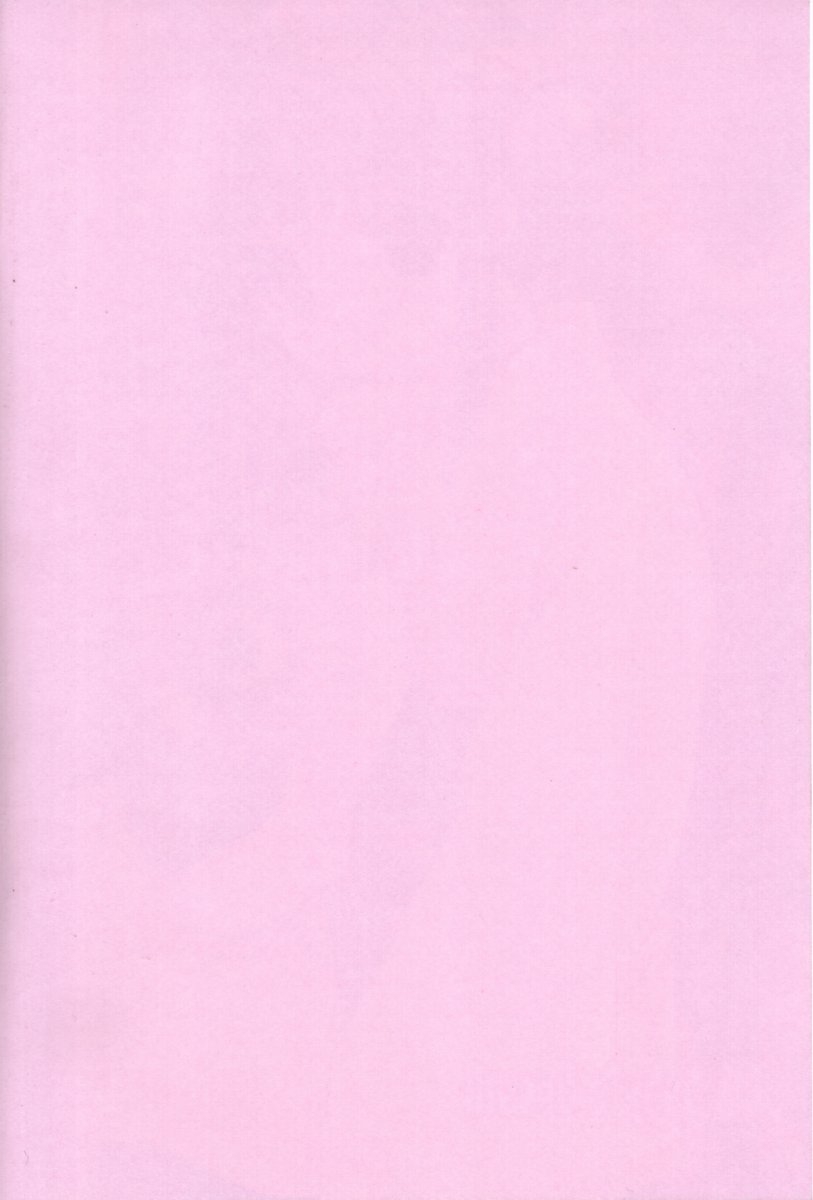 (C62) [WARP LOOP (Satomi Hinako)] pink babys breath (Comic Party) 1