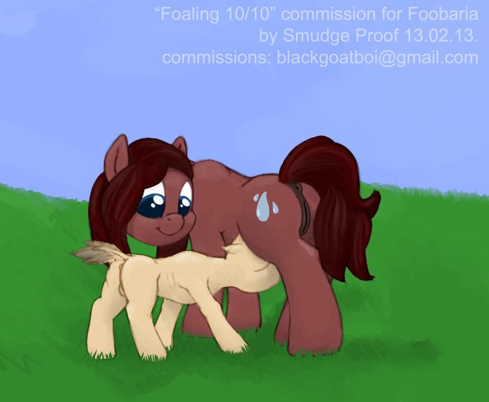 foaling 9