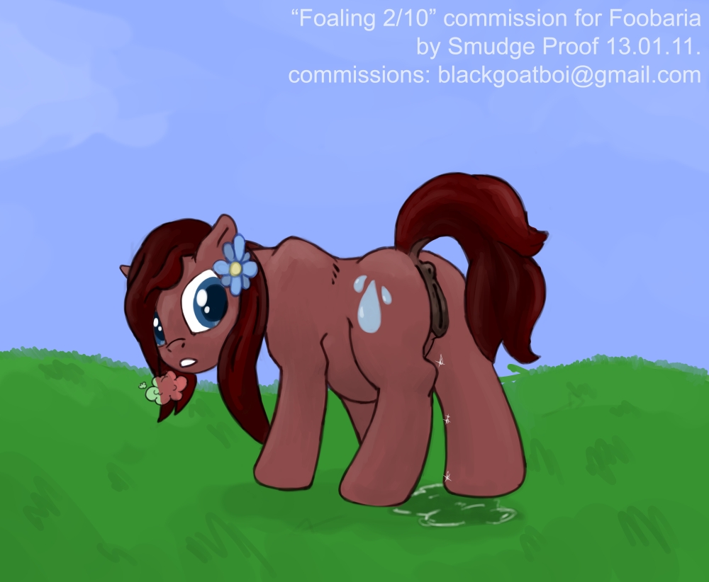 foaling 1