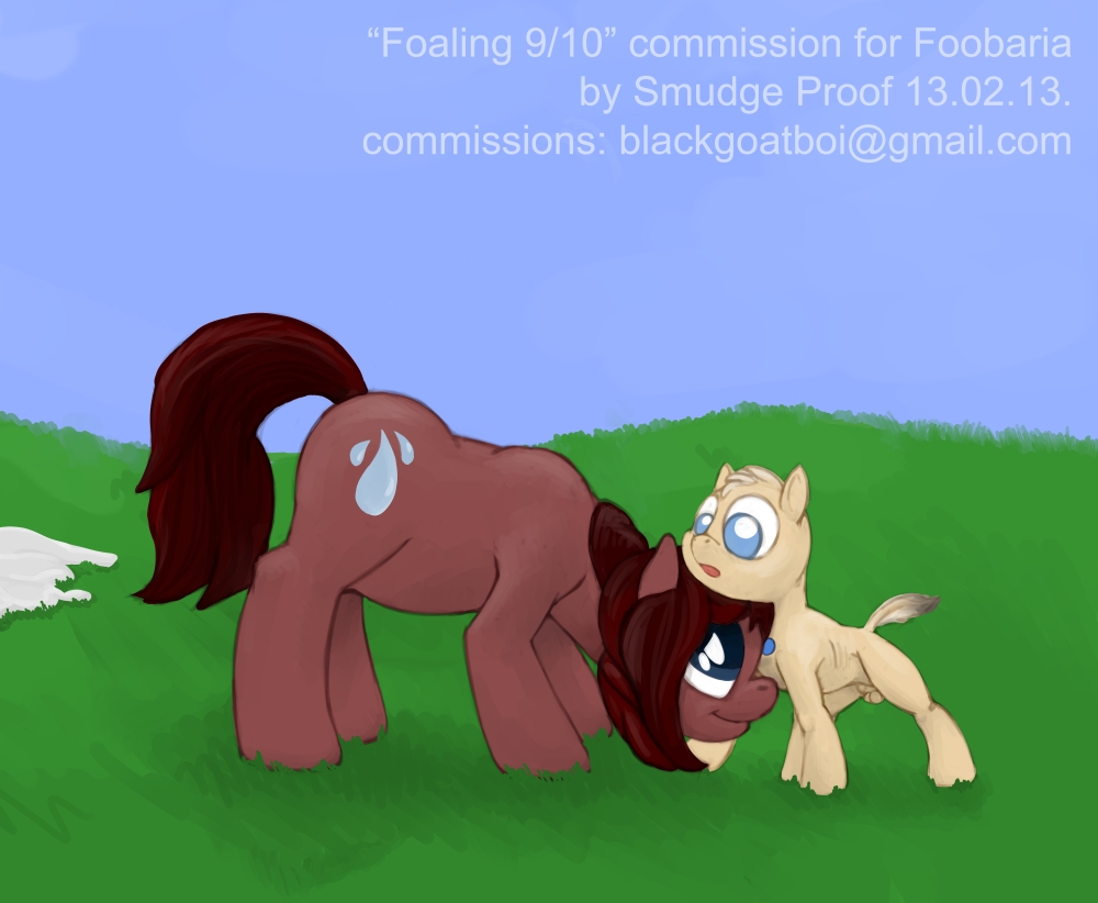 foaling 8