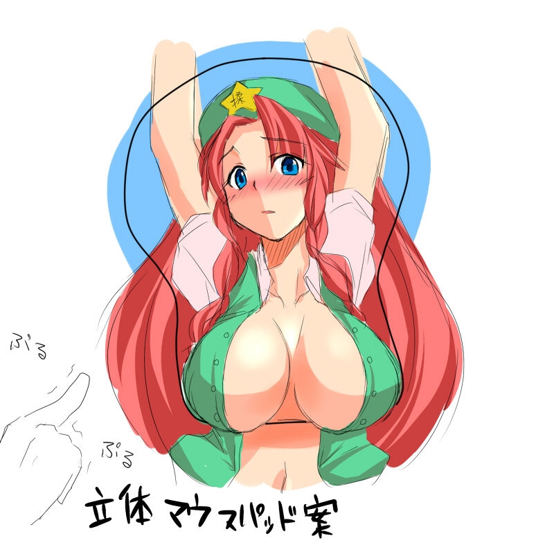 【touhou　project】hong meiling 147