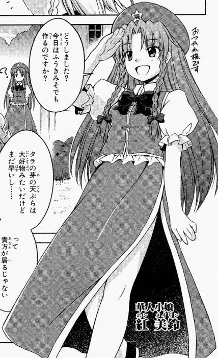 【touhou　project】hong meiling 15