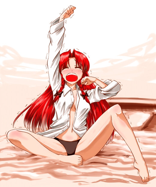 【touhou　project】hong meiling 198