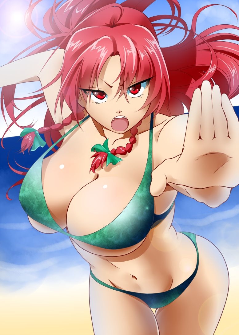 【touhou　project】hong meiling 7