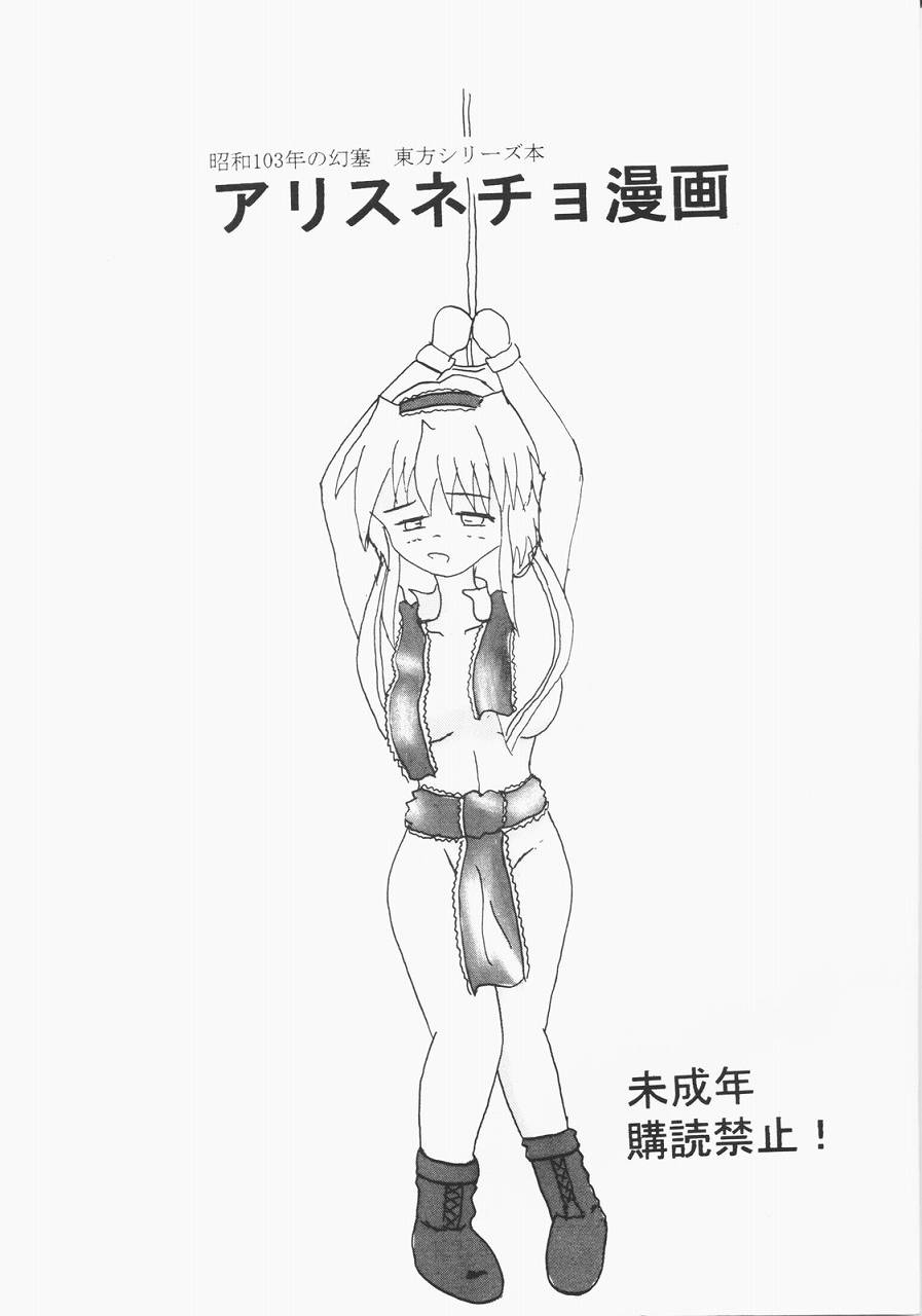 [Showa 103-nen no Gensai (Gante)] Alice Necho Manga (Touhou Project) 0