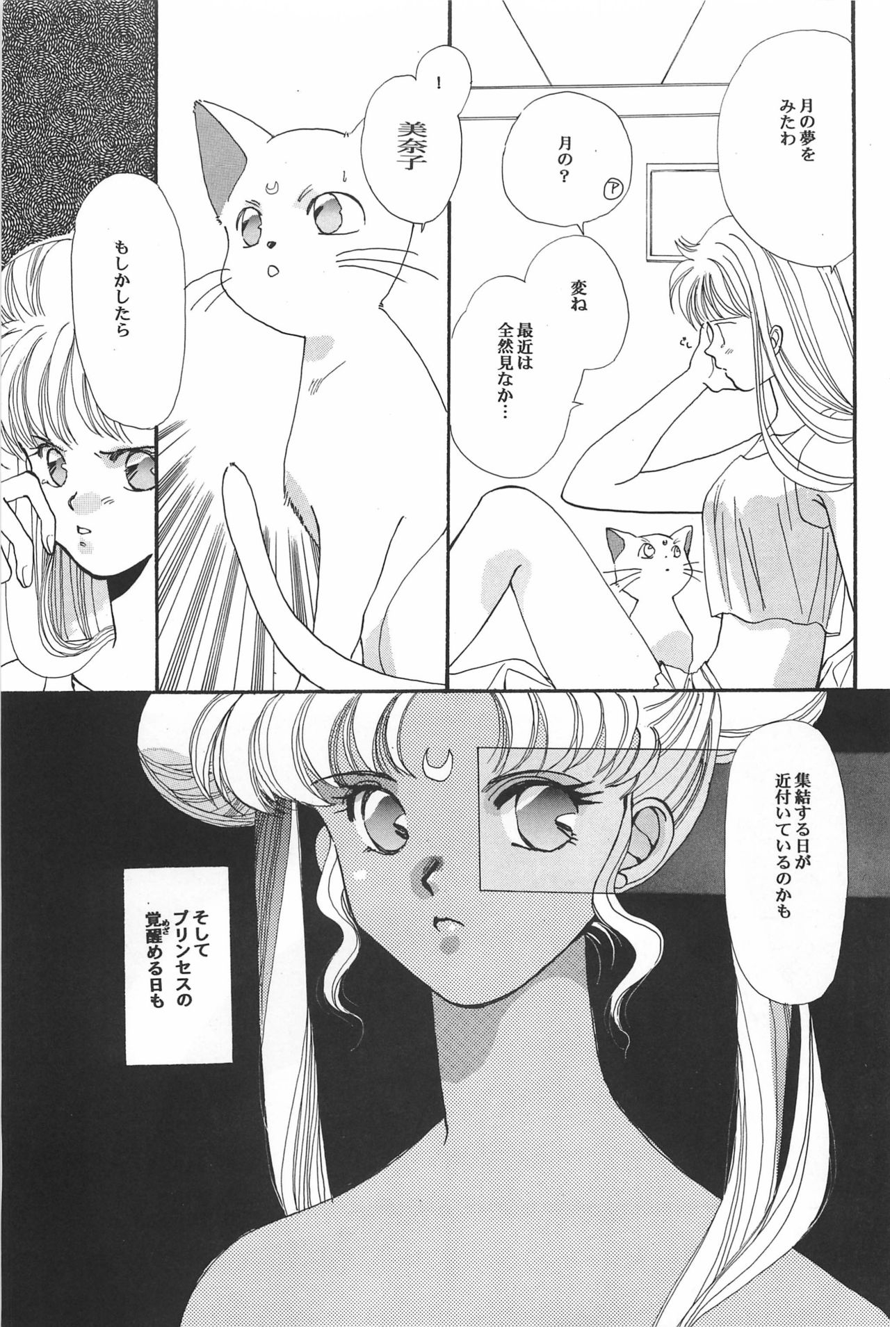 [Hello World (Muttri Moony)] Kaze no You ni Yume no You ni - Sailor Moon Collection (Sailor Moon) 108