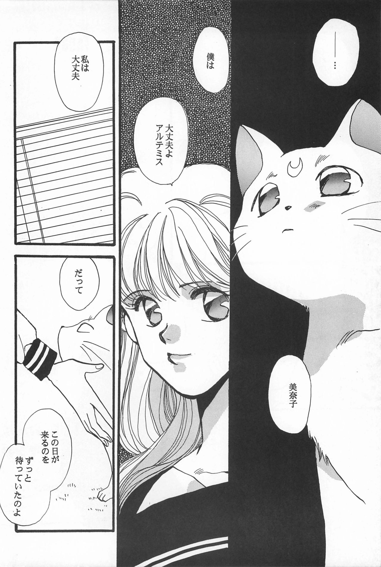 [Hello World (Muttri Moony)] Kaze no You ni Yume no You ni - Sailor Moon Collection (Sailor Moon) 113
