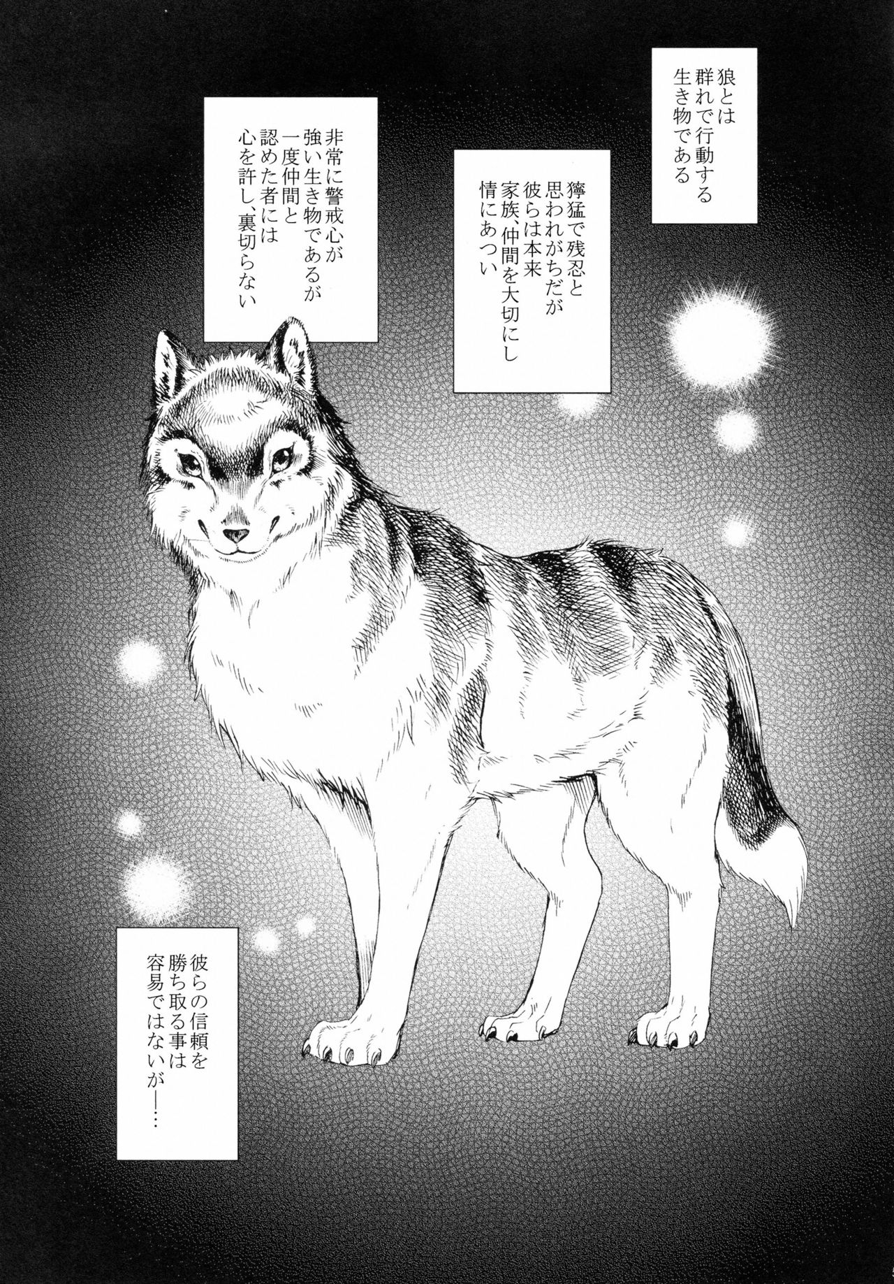 [Dogear (Inumimi Moeta)] Ookami to doukeshi (Joker X Wolfrun) 3